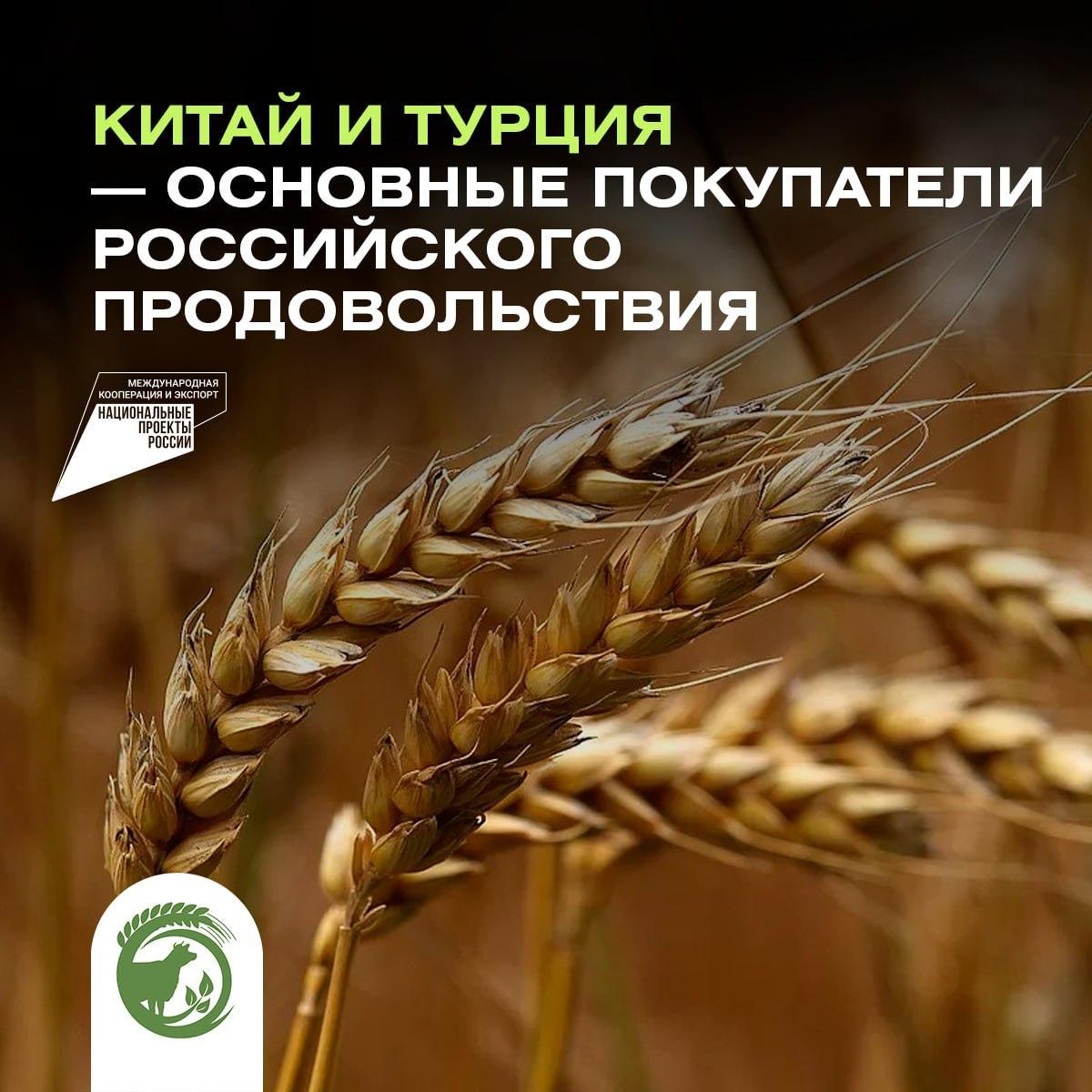 В Минсельхозе назвали основных покупателей российского продовольствия.