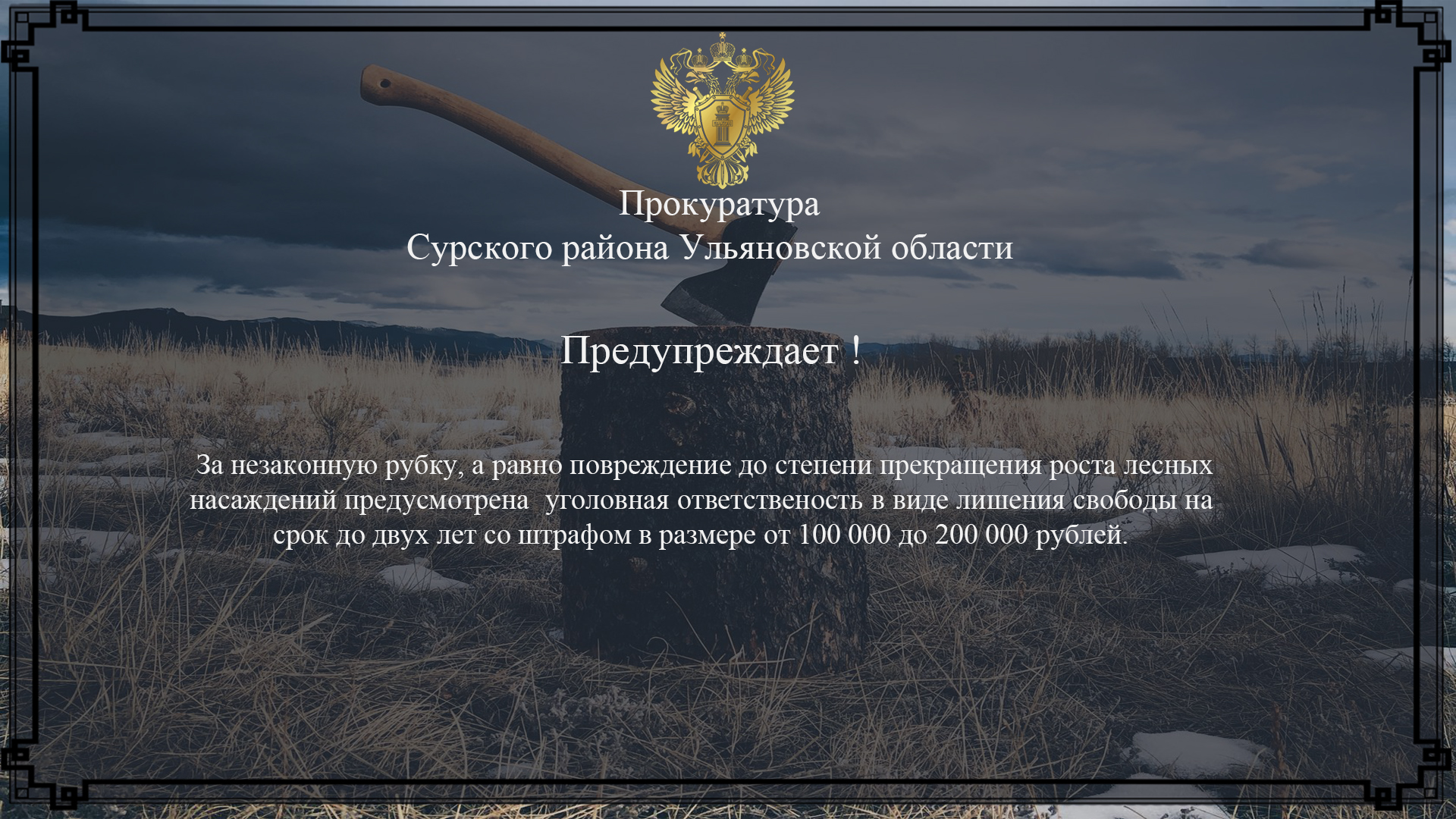 Прокуратура Сурского района информирует.